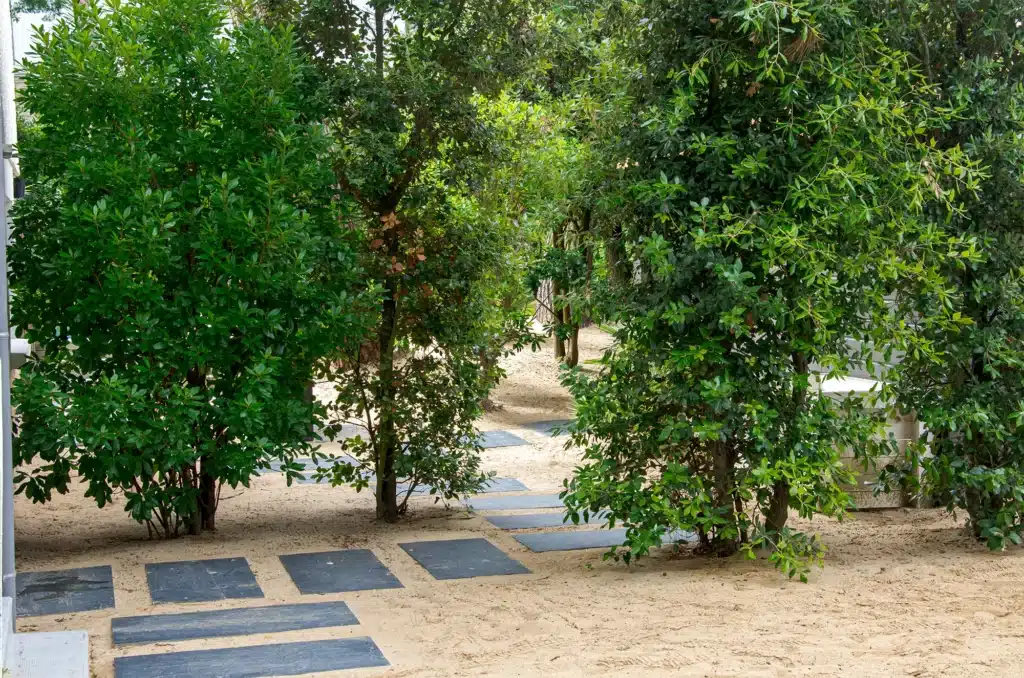 Jardin baulois - La Baule-Escoublac