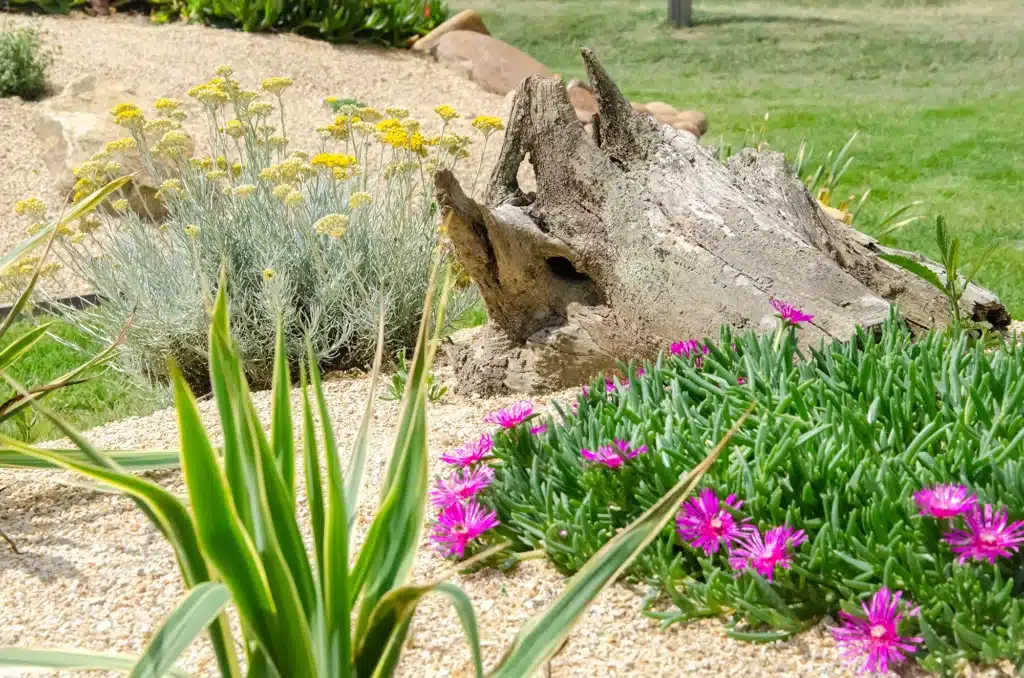 Jardin de front de mer - Batz sur Mer
